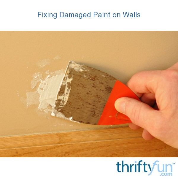 Fixing Damaged Paint on Walls? ThriftyFun