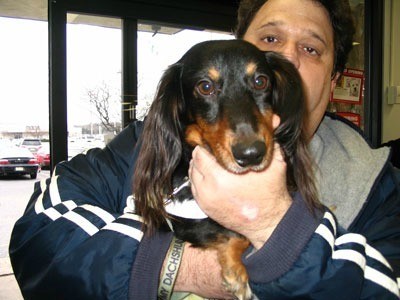 Bogey (Long Haired Dachshund)