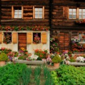 Growing Vegetables in the Mountains