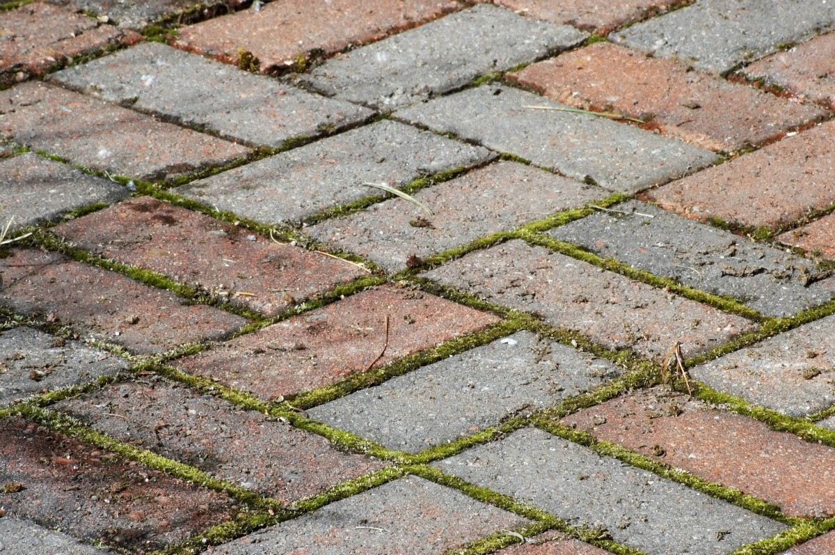 Removing Weeds Between Pavers ThriftyFun