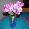 Finished flower pens in a vase.
