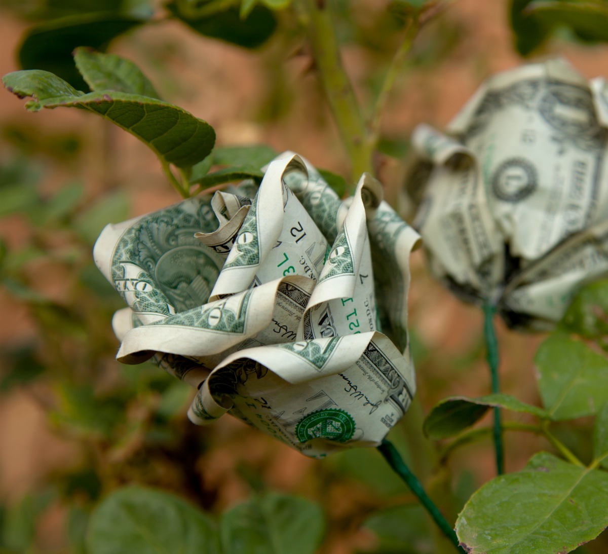 Origami Rose Made Out Of Money All in Here