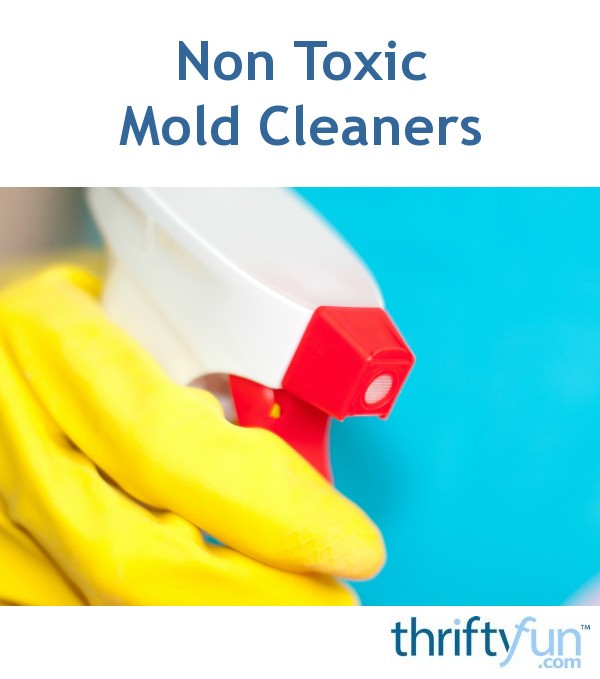 NonToxic Mold Cleaners? ThriftyFun