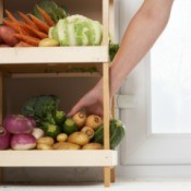 Vegetables on Small Shelf