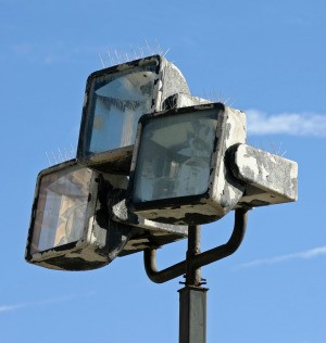 Outdoor Flood Lights