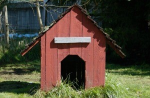 Red wood dog house.