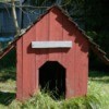 Red wood dog house.
