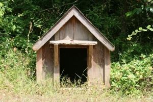 Wood dog house in a backyard.