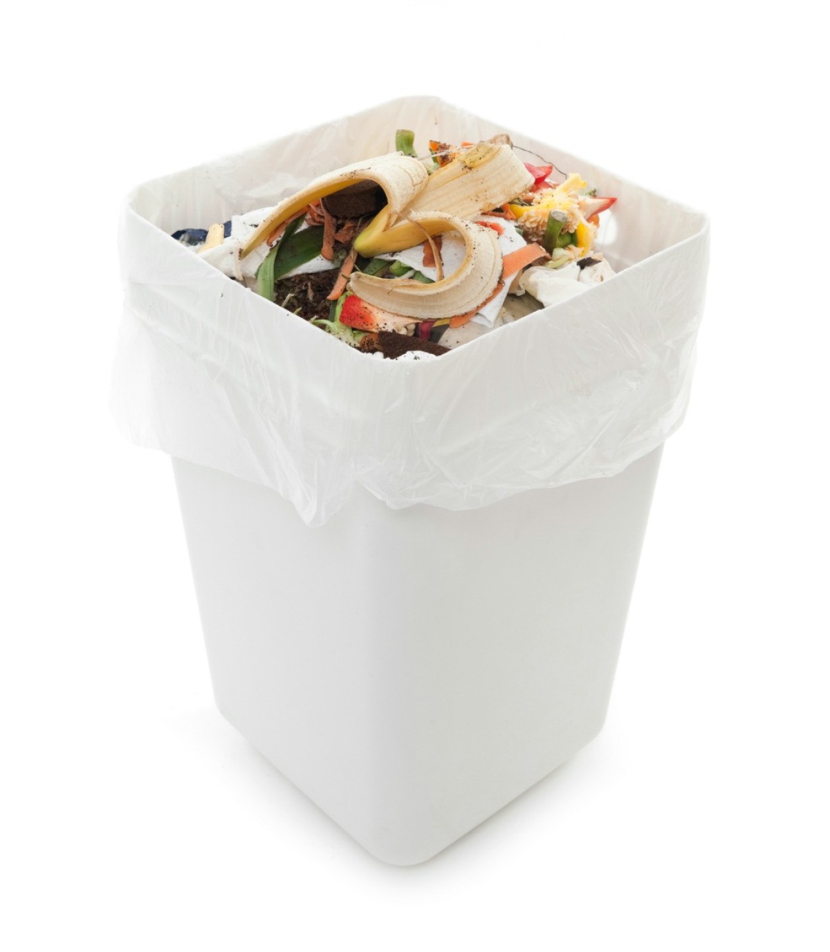 vermiculture worm composting bucket indoor no odor vented