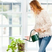 A woman watering a houseplant.