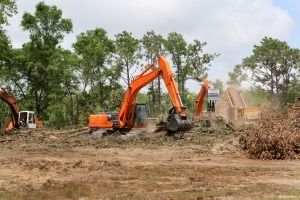 Clearing Land