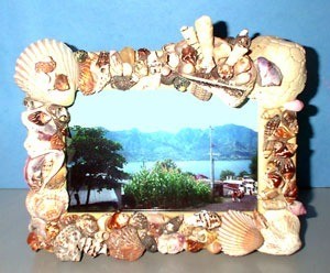 Photo frame decorated with sea shells.