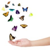 butterflies flying from hand