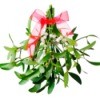 Mistletoe with red ribbon