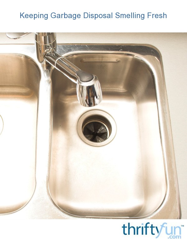 Keeping Garbage Disposal Smelling Fresh ThriftyFun