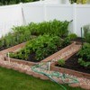 A raised bed garden in the backyard of a rental house.