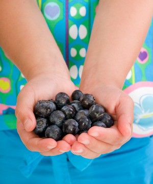 fresh picked blueberries