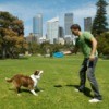 A man playing frisbee with his dog.