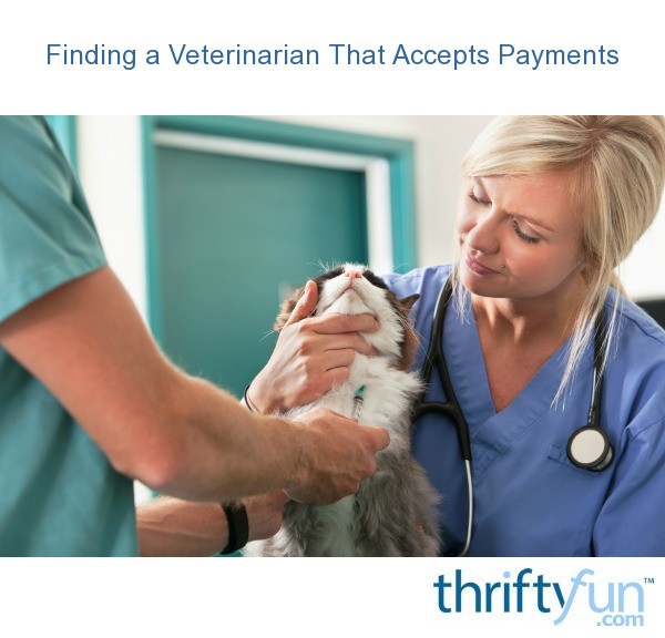 animal hospital near me that take payments