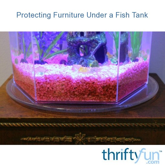 Protecting Furniture Under a Fish Tank ThriftyFun
