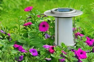 A solar light in a garden.