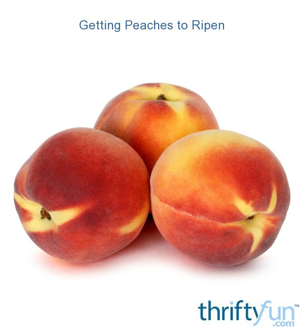 Getting Peaches to Ripen ThriftyFun