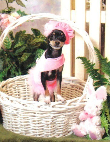 Lwxi in pink outfit in Easter basket.