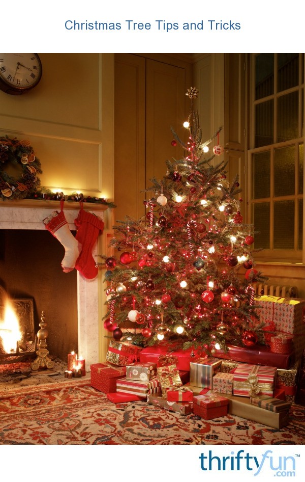 Christmas Tree Tips and Tricks ThriftyFun