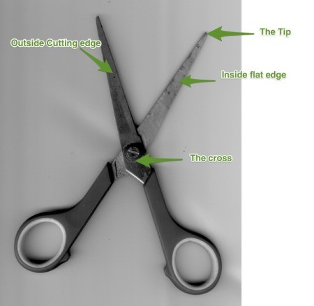 How to Sharpen Scissors Using a Ceramic Mug | ThriftyFun