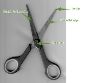 Proper Way to Sharpen Scissors