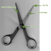 Proper Way to Sharpen Scissors