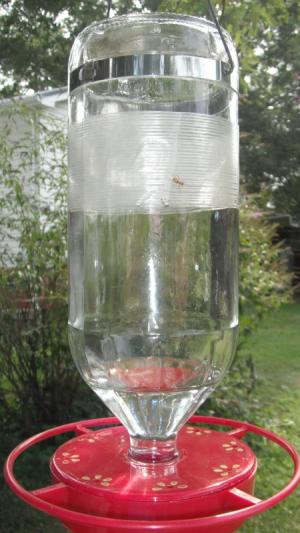Keeping Ants out of Hummingbird Feeder - A feeder with tape on it.