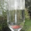 Keeping Ants out of Hummingbird Feeder - A feeder with tape on it.