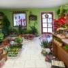 A photo of the inside of a flower shop.