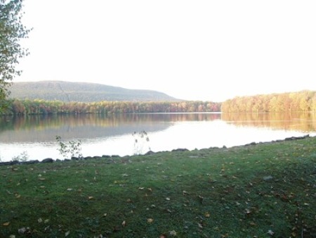 Fall trees reflecting in a pond.