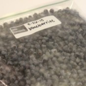 blueberries in bag 2