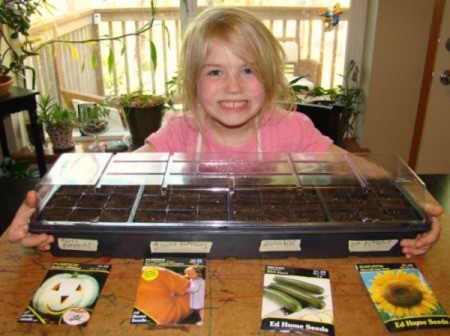seeds in mini greenhouse