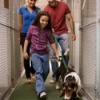 A family at an animal shelter.