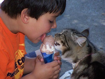 Cat and young boy sharing an ice cream cone.