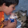 Cat and young boy sharing an ice cream cone.
