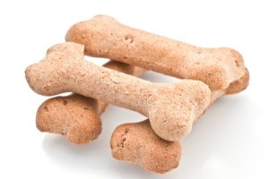 homemade dog biscuits.