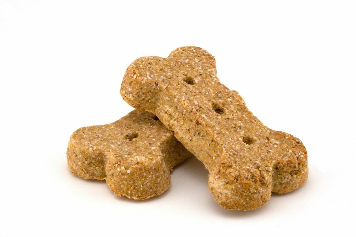 Name Ideas For Homemade Pet Treats Business ThriftyFun