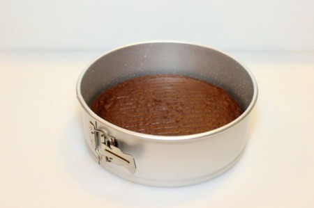 Mint Chocolate Chip Ice Cream Cake - put cake in pan