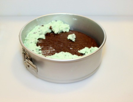 Mint Chocolate Chip Ice Cream Cake - add ice cream 1