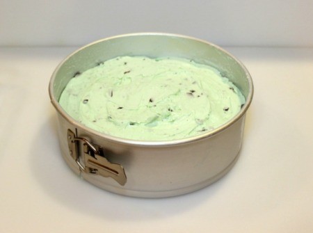 Mint Chocolate Chip Ice Cream Cake - add ice cream 2