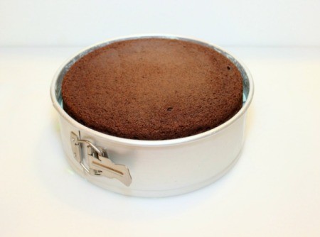 Mint Chocolate Chip Ice Cream Cake - add second cake