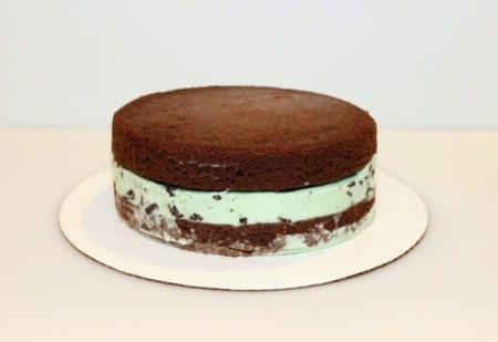 Mint Chocolate Chip Ice Cream Cake - ice cream cake before icing