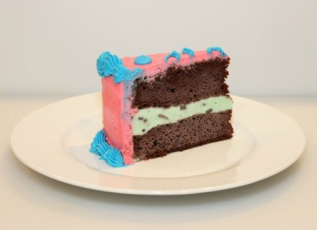 Mint Chocolate Chip Ice Cream Cake - slice of cake 2