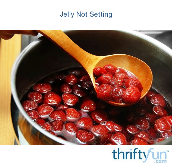 Jelly Not Setting ThriftyFun