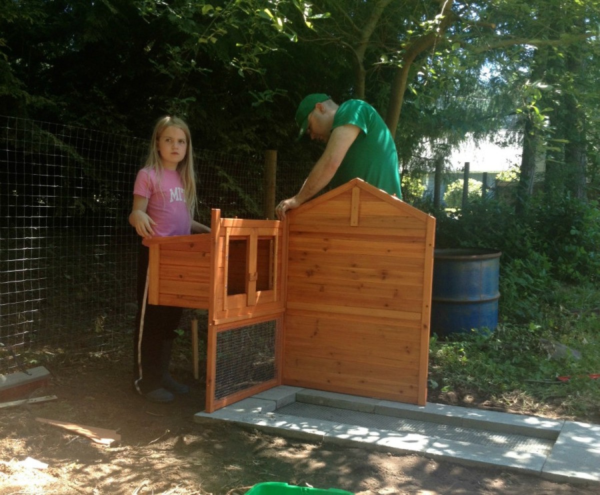 Predator Proofing A Chicken Coop Thriftyfun